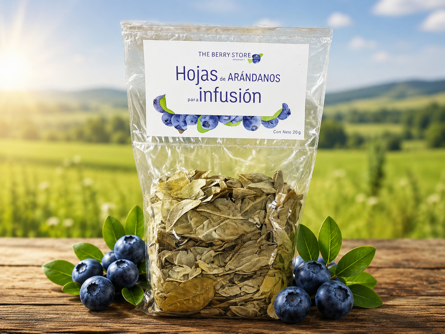 Hojas de arándanos para infusión